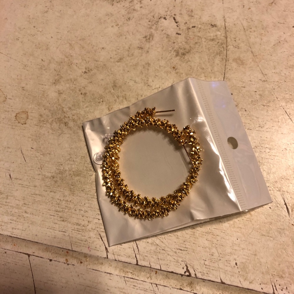 Hoops Earring - image 3